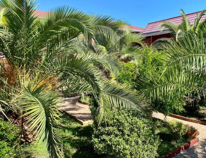 Отель «Розовый Фламинго» Гячрыпш