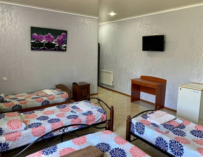 4-местный номер стандарт - Отель «Розовый Фламинго» Гячрыпш